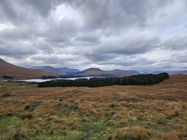 20231024_094401.jpg
